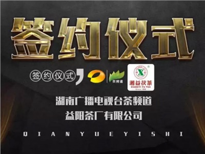 湘益茯，美茗揚 丨湘益茯茶與茶頻道達成長期戰(zhàn)略合作