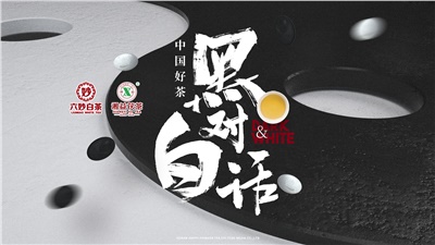 首屆黑白對話高峰論壇圓滿落幕！湘益茯茶備受關注！