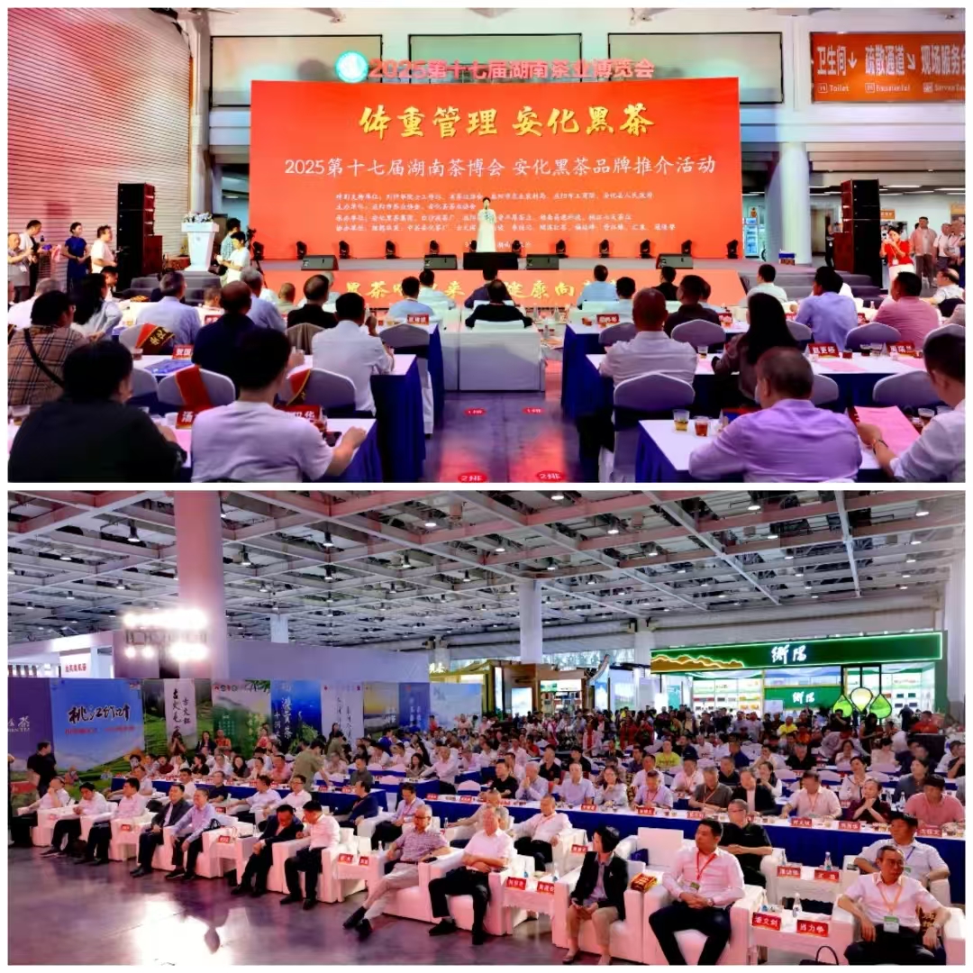 破局邊銷二十載，開啟茯茶新紀(jì)元——湘益茯茶“紀(jì)廿”新品璀璨發(fā)布